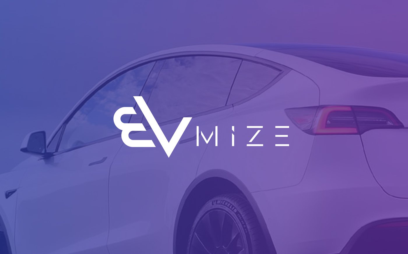 evmize branding design