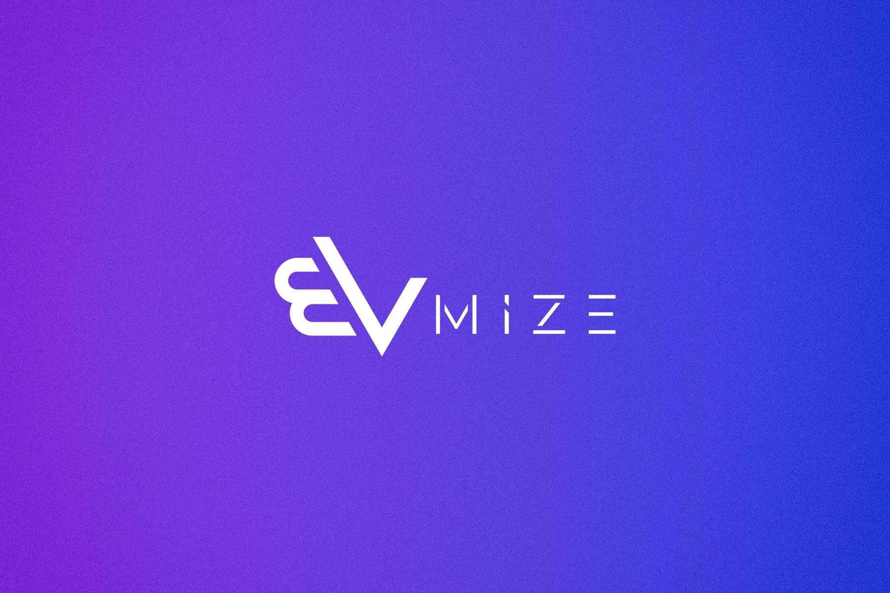 Evmize Visual Identity Cover