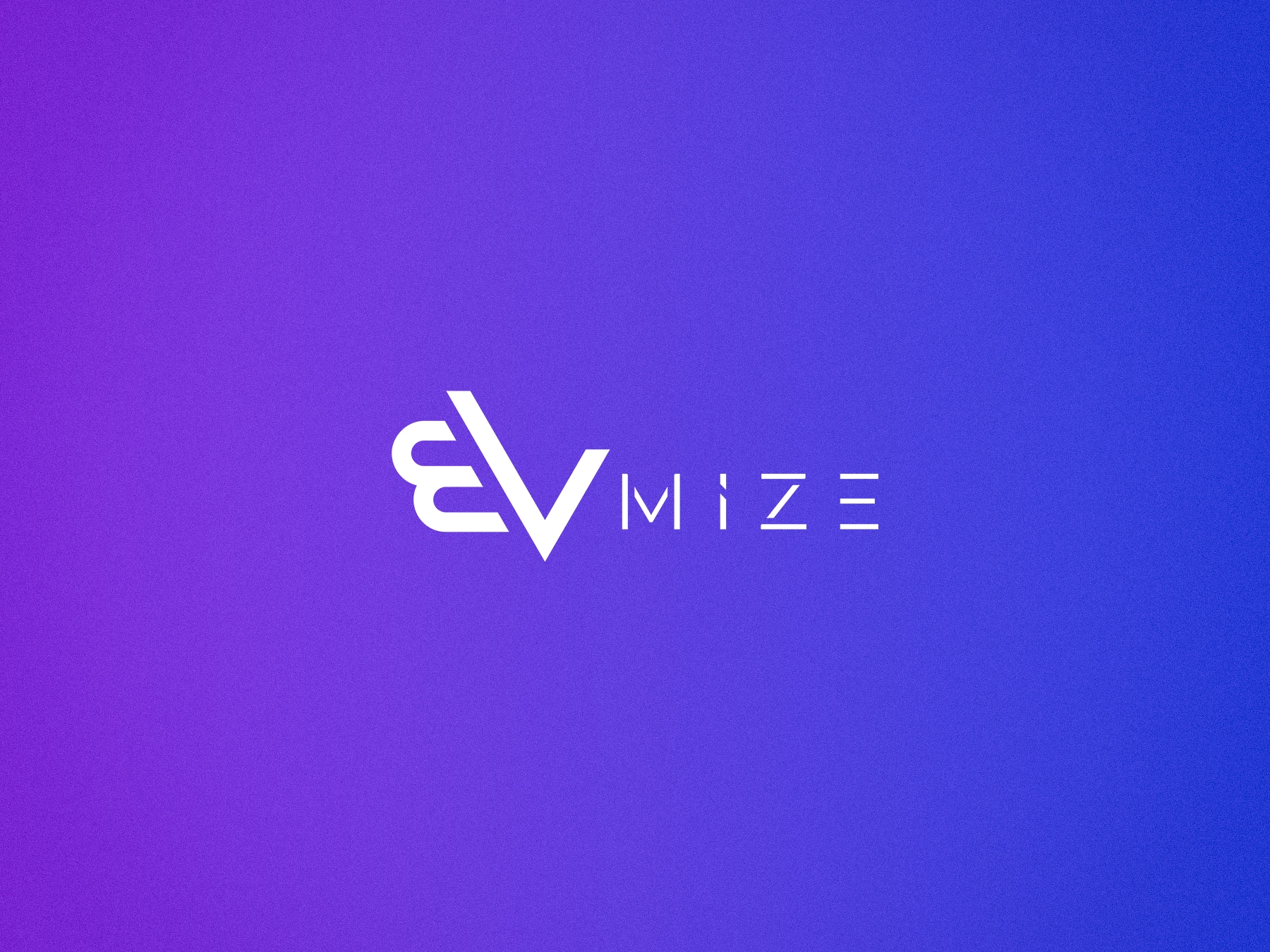 Evmize-visual-Identity-cover